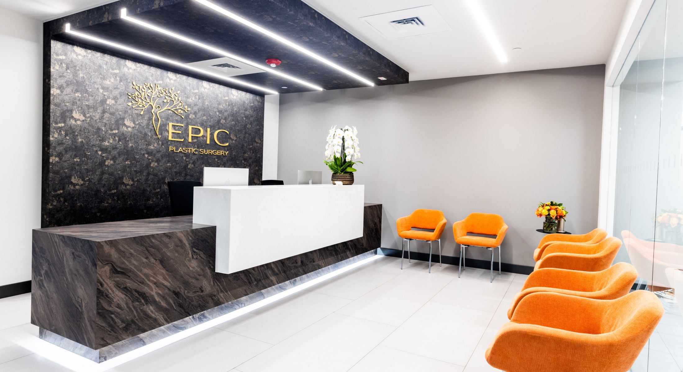 Modern plastic surgery clinic reception area interior.